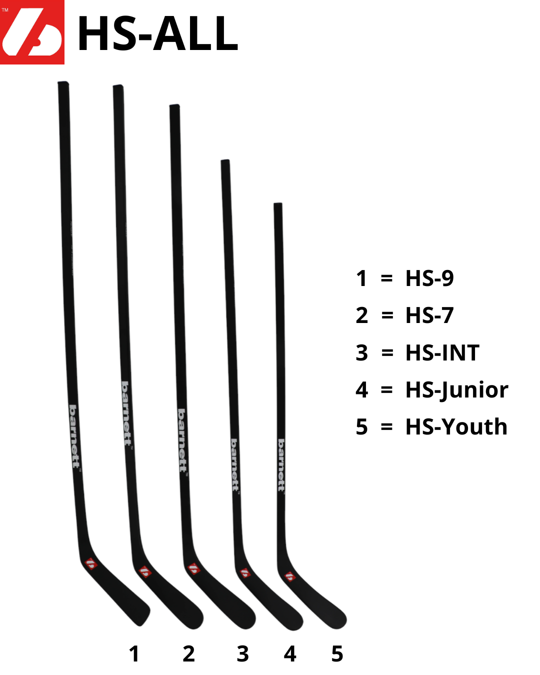 HS-INT crosse de hockey en carbone
